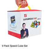 9 Pack Speed Cube Set Pyraminx Pyramid + 2x2 + 3x3 + 4x4 + Megaminx + Mirror + Mini 3x3 + Skewb + Fenghuolun Puzzle Cube Toy Gift for Kids & Adults