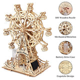Coolzon Wooden Model Kits 3D Wooden Puzzles for Adults and Kids,Wooden Mechanical Ferris Wheel for Family and Friends,Kids, Teens and Adult Self-Assembly Toy Present(Ferris Wheel)