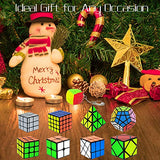 9 Pack Speed Cube Set Pyraminx Pyramid + 2x2 + 3x3 + 4x4 + Megaminx + Mirror + Mini 3x3 + Skewb + Fenghuolun Puzzle Cube Toy Gift for Kids & Adults