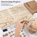 Coolzon Wooden Model Kits 3D Wooden Puzzles for Adults and Kids,Wooden Mechanical Ferris Wheel for Family and Friends,Kids, Teens and Adult Self-Assembly Toy Present(Ferris Wheel)